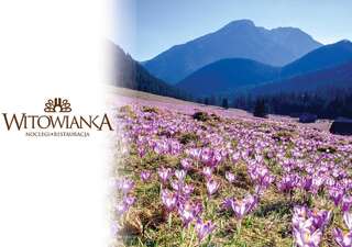 Фото Проживание в семье Witowianka г. Витув